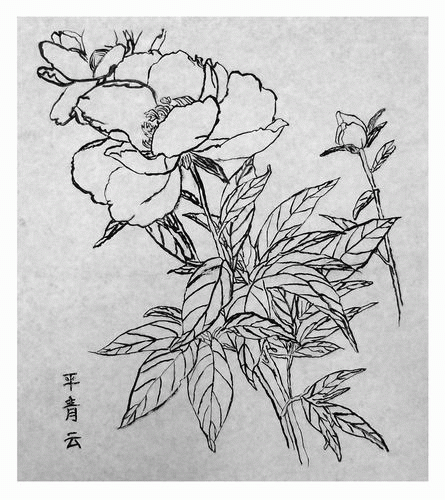 藤野先生简笔画